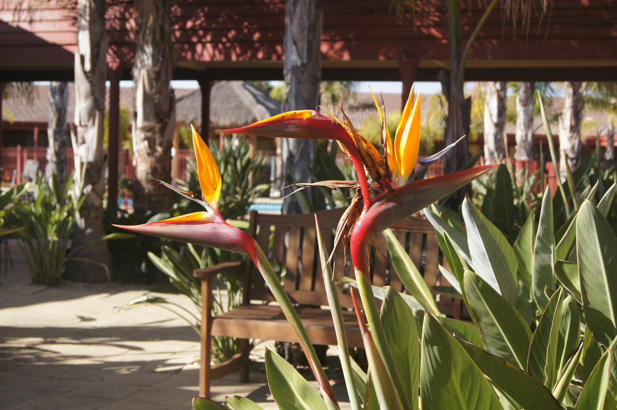 Quality Hotel Lakeside Bendigo Exterior photo